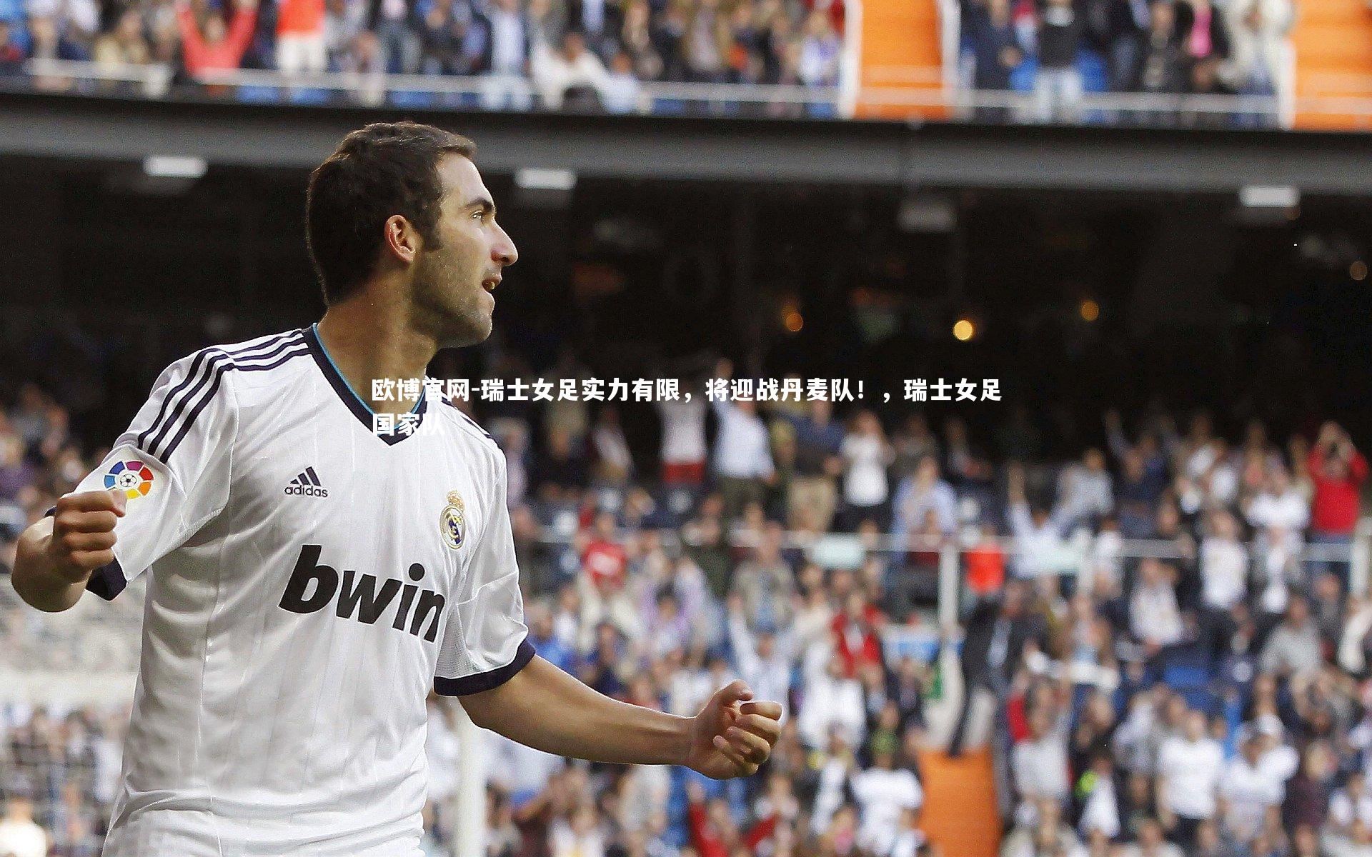 欧博官网-瑞士女足实力有限，将迎战丹麦队！，瑞士女足国家队