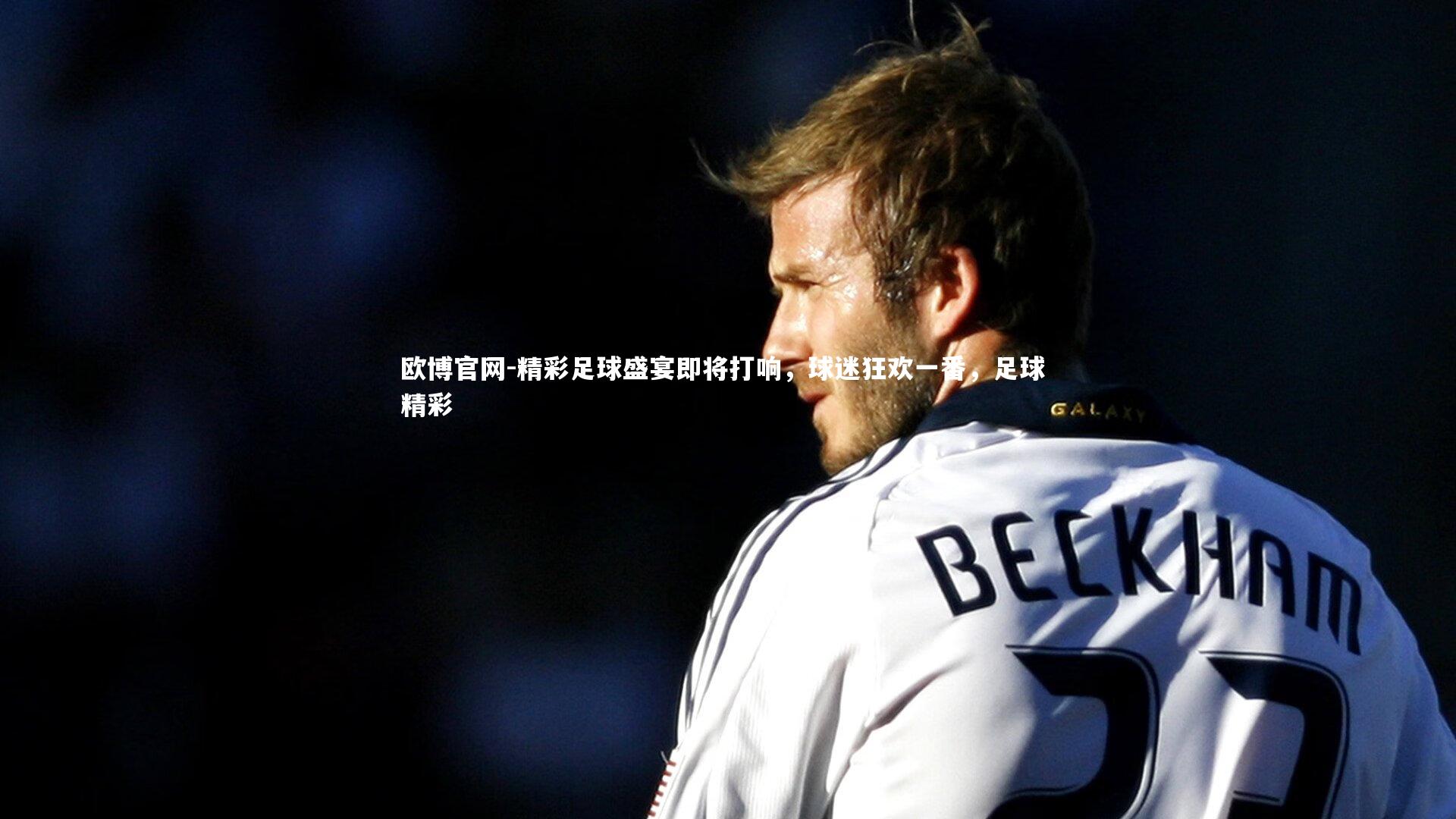 精彩足球盛宴即将打响,球迷狂欢一番,足球 精彩