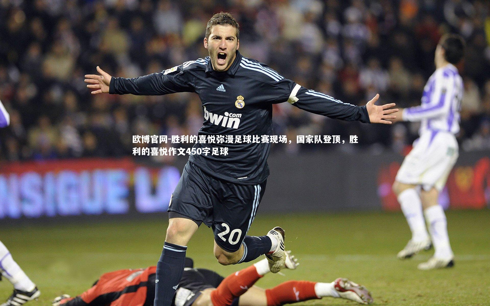 胜利的喜悦弥漫足球比赛现场,国家队登顶,胜利的喜悦作文450字足球