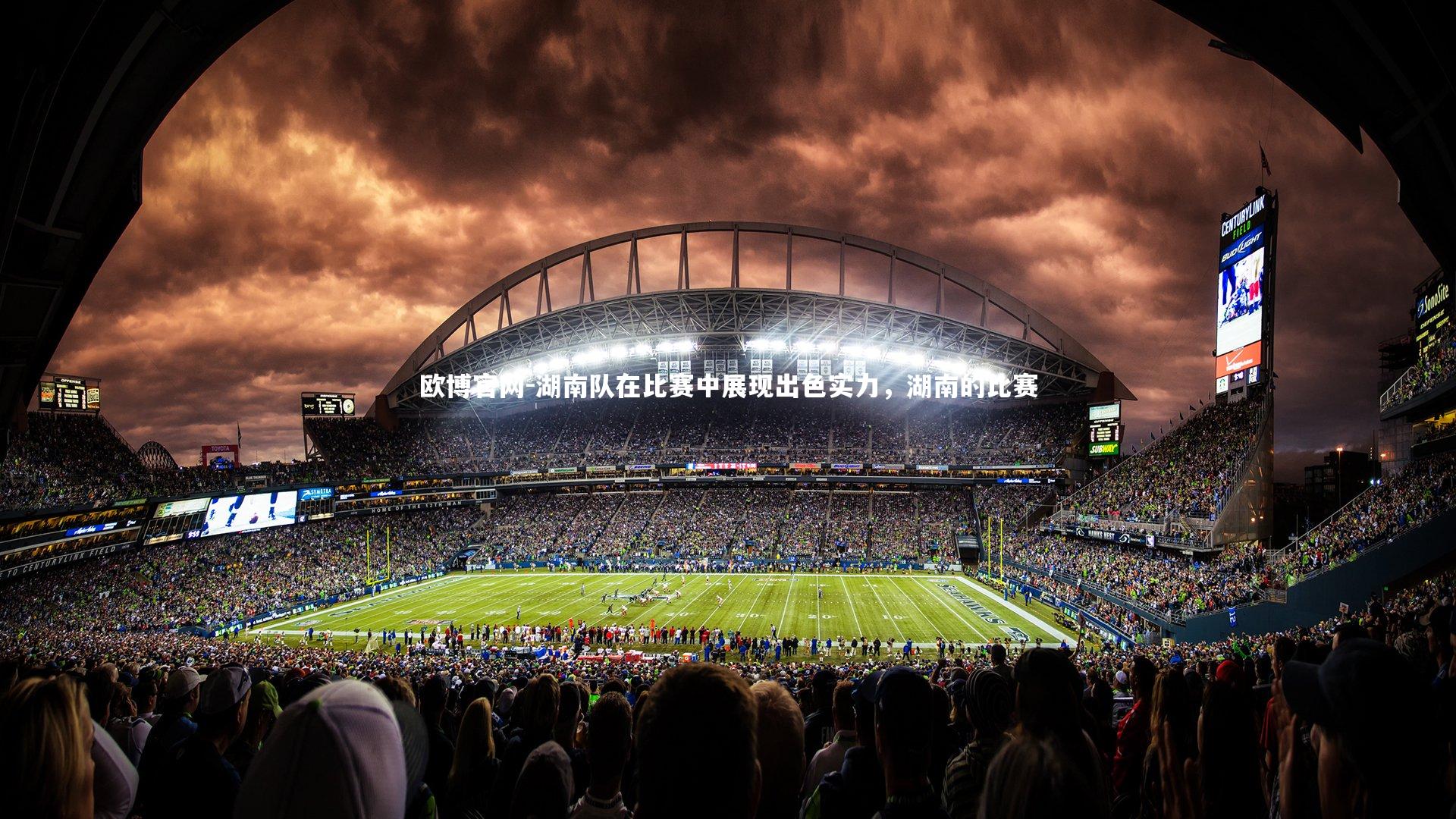 欧博官网-湖南队在比赛中展现出色实力，湖南的比赛