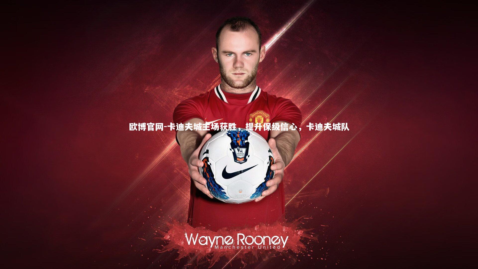 卡迪夫城主场获胜，提升保级信心，卡迪夫城队