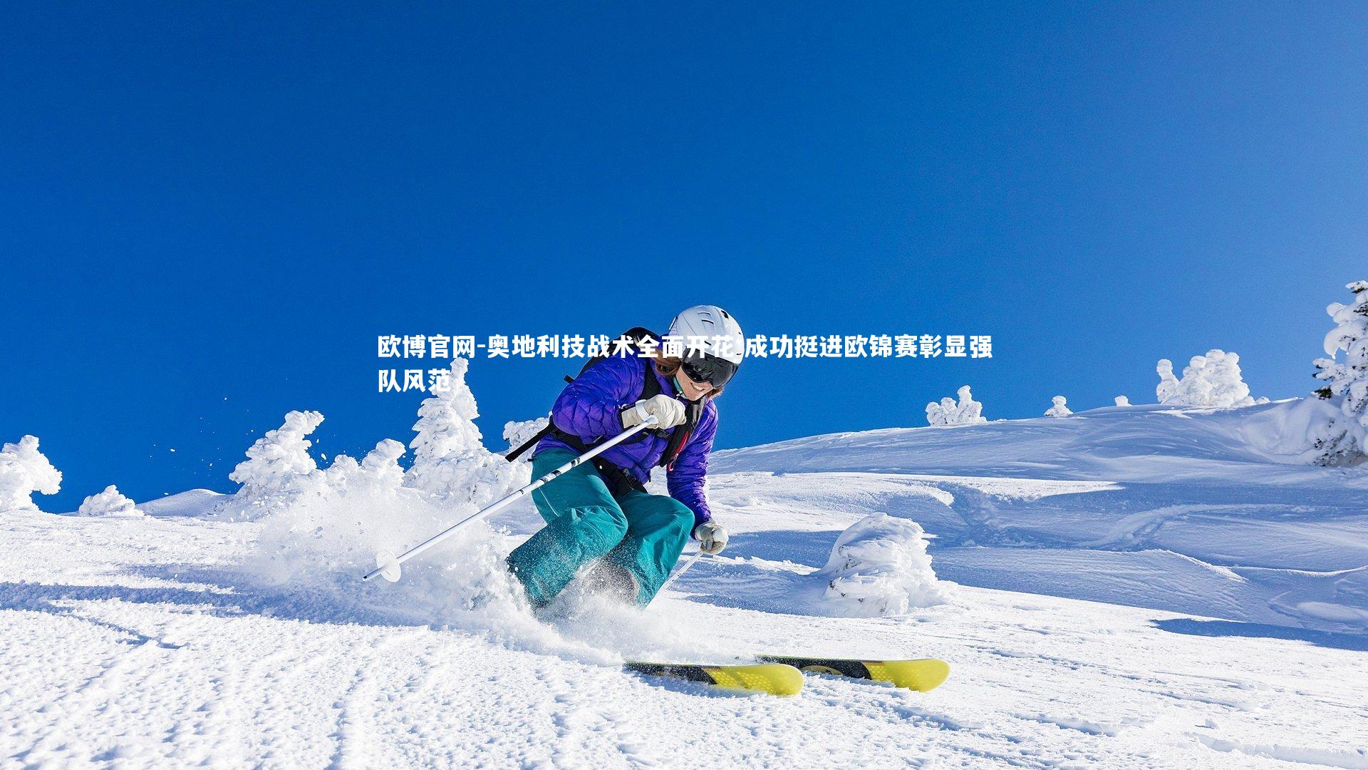 奥地利技战术全面开花 成功挺进欧锦赛彰显强队风范