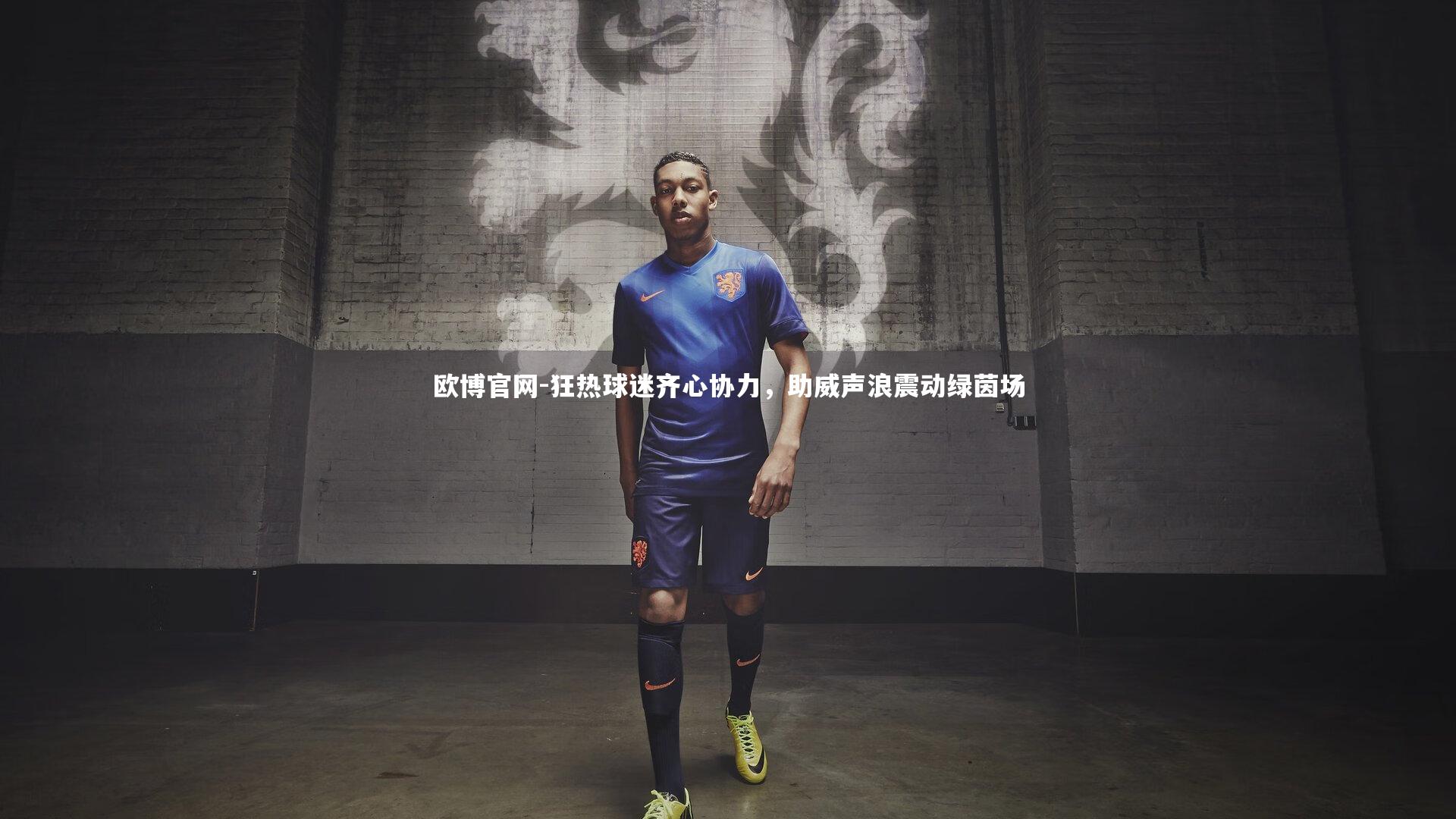 狂热球迷齐心协力,助威声浪震动绿茵场